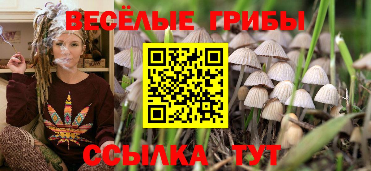 Псилоцибиновые грибы прущие грибы  Галлюциногенные грибы MAGIC MUSHROOMS  что такое   Саки  Вход с VPN 